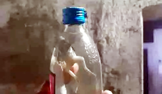 छत्तीसगढ़ के कोरबा जिले में शराब की बोतल में मरा मेंढक मिलने का